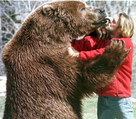 filmografia de bart de urso