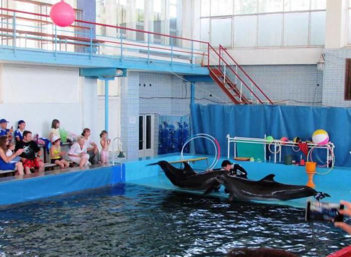 The Karadag dolphinarium avaliações